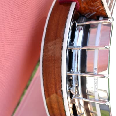 Capek Scarab five string (flathead + archtop tone ring) image 10
