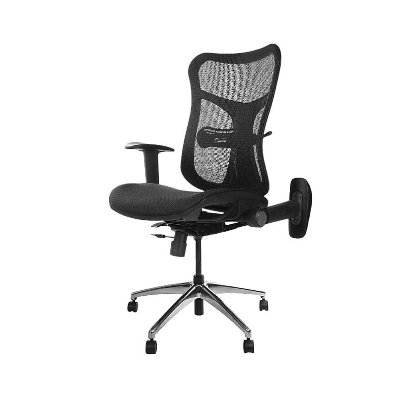 Wavebone Viking Premium Multifunctional Studio Chair - Black