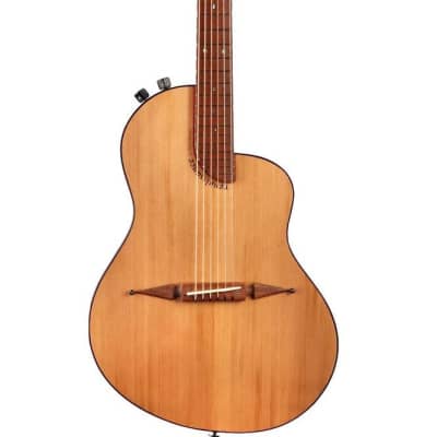 Rick Turner Renaissance RS6 Cedar / Walnut #5906 image 10