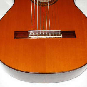 Original 1979 Ramirez 1a 10-String Classical Harp Guitar, Cedar/Indian image 14