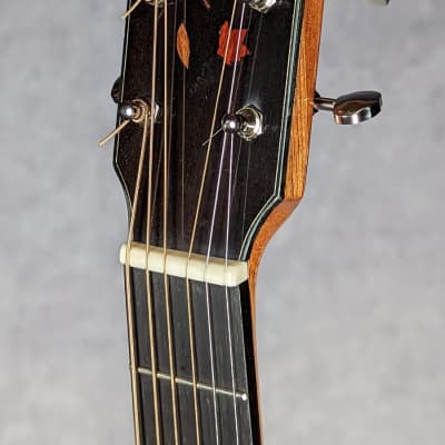 Bianchin Guitars 00 12-Fret Acoustic - Sinker Redwood/Walnut image 5