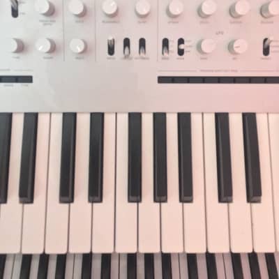 Limited Edition Korg Prologue (1 of only 5 ever made) image 4