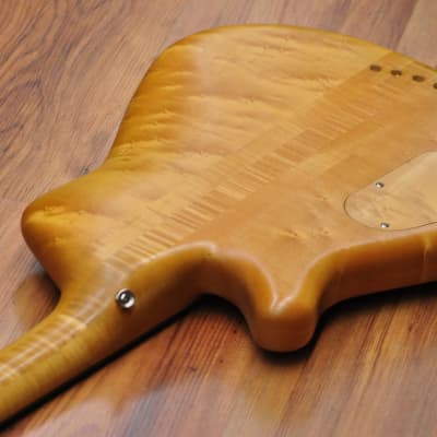 F Bass Fretless 4-30 image 15