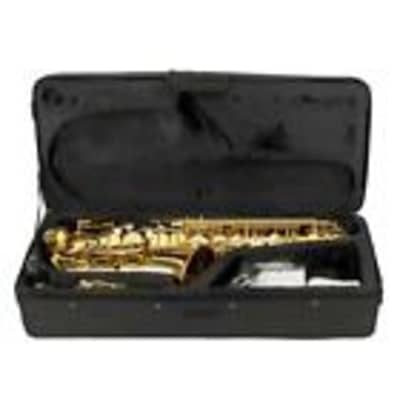 New Student Paint Gold Alto Eb Sax Saxophone w/ Case Accessories image 3
