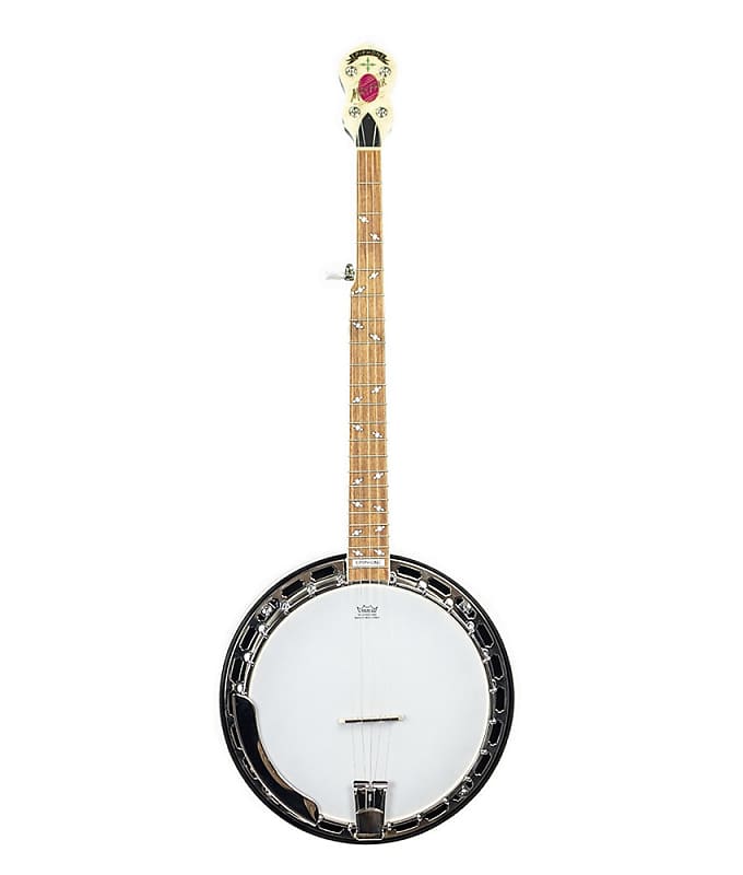 Epiphone Mayfair Banjo (5-string) - Red Brown Mahogany image 1