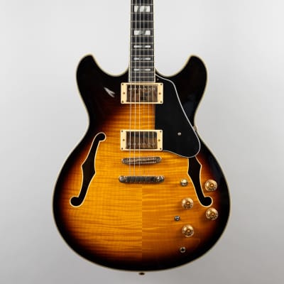 Ibanez JSM10-VYS John Scofield Signature Hollowbody Electric Guitar Vintage  Yellow Sunburst | Reverb