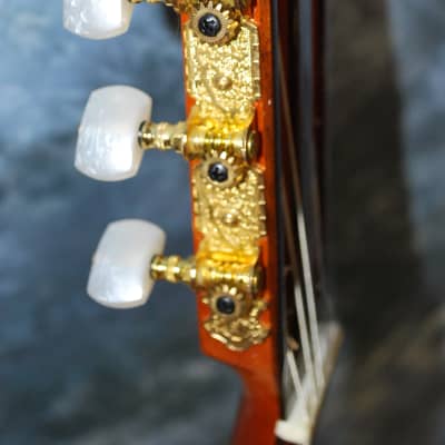 2012 New World Bubinga Model Classical Guitar Truss Rod New Strings Deluxe Original Hard Case image 7