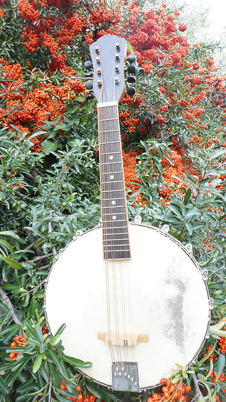 Fully Restored Vintage Mandolin Banjo Banjolin 1920s | Reverb