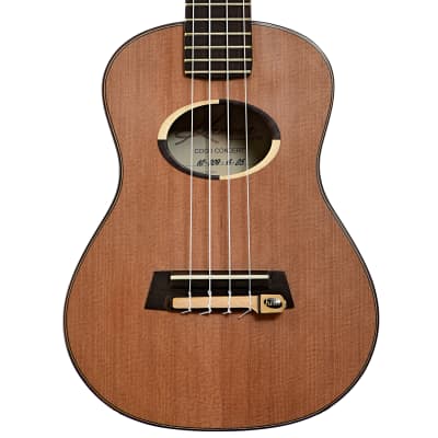 Shelley D. Park Moodyville Concert Ukulele Brazilian Cherry | Reverb