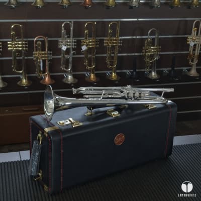 Vincent Bach Stradivarius 37 G GOLDBRASS bell trumpet GAMONBRASS case mouthpiece image 22