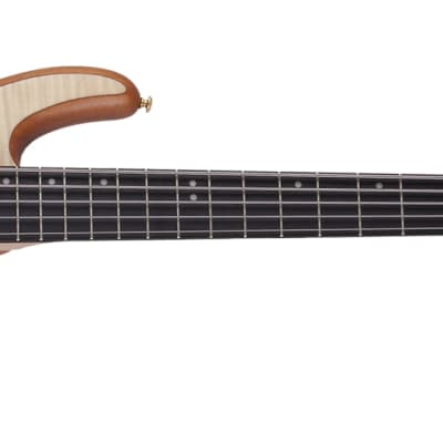 Schecter Stiletto Custom 5 5-String Electric Bass image 2