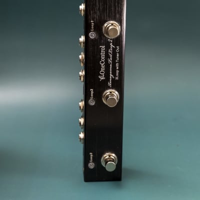 ギター One Control iguana tail loop 2 One Control Iguana Tail Loop 2 - Gearspace