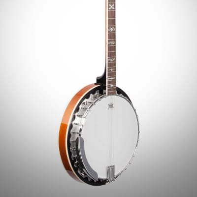 Washburn B10 Five String Banjo image 4