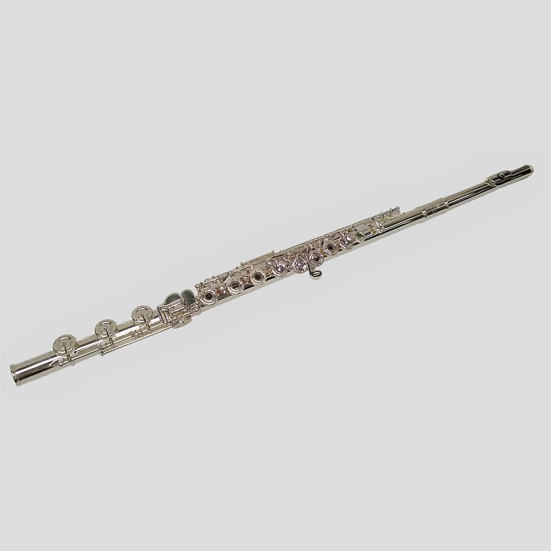Schiller 400 Flute W/ Solid Silver Head & Engraving image 1