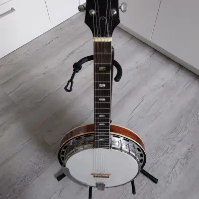 Ariana Vintage Banjitar 6 String Banjo from 1980 image 1