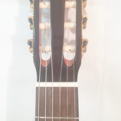 Cordoba Classical Guitar Iberia Series Model C-5 New Includes Setup, Warranty! image 3