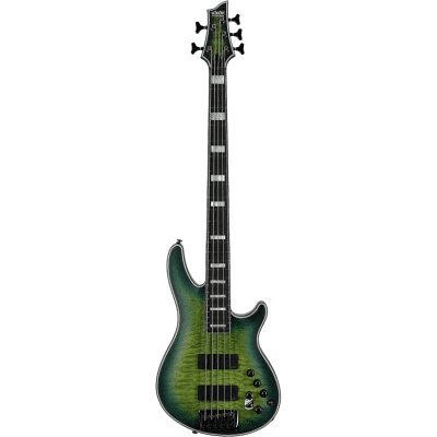 Amazon.com: Schecter Hellraiser Extreme-5 5-String Bass