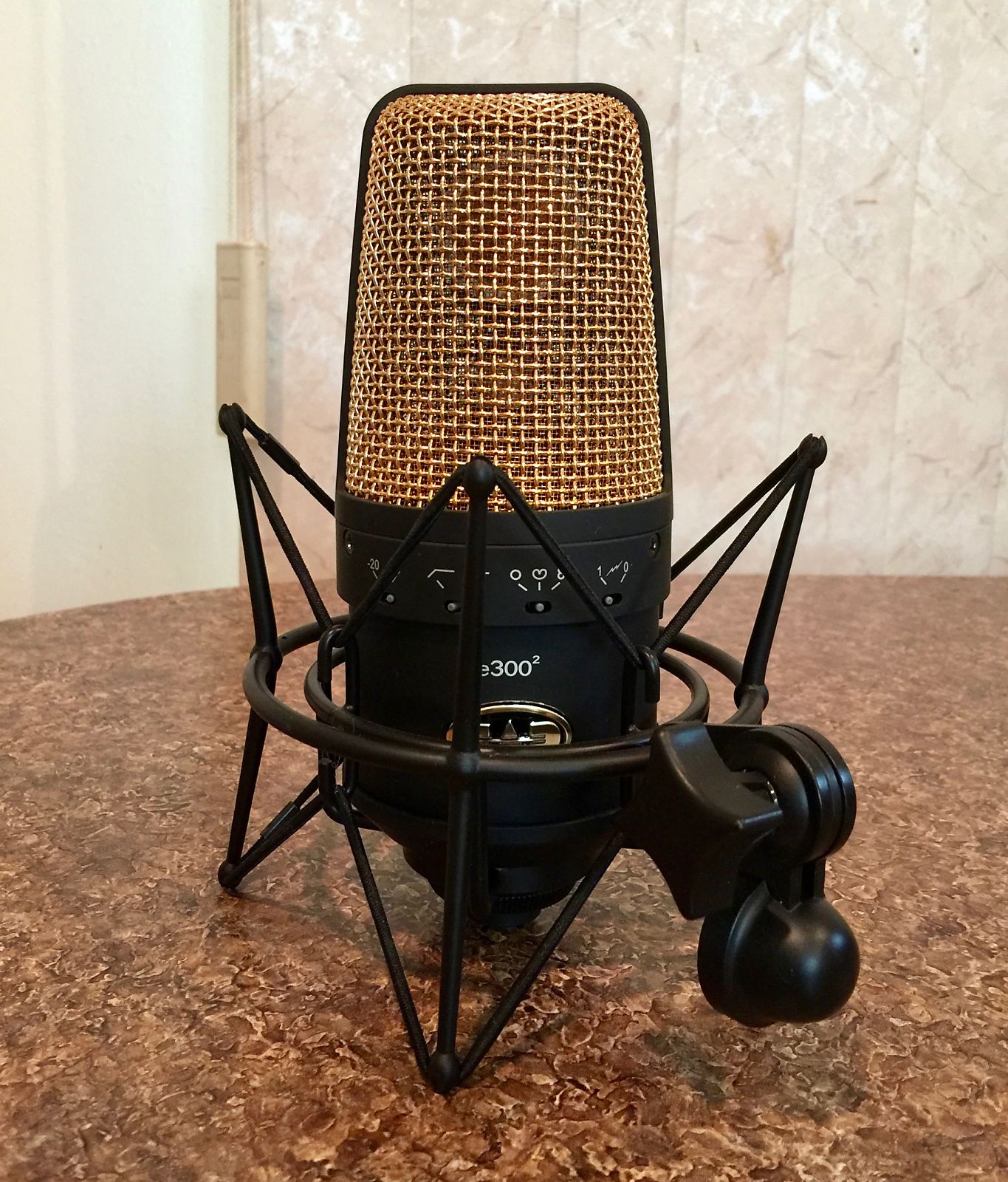 CAD Equitek E3002 Large Diaphragm Multipattern Condenser Reverb