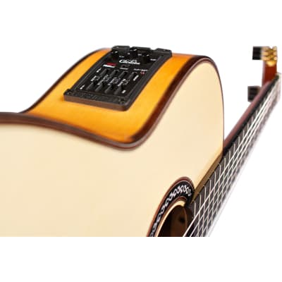 Cordoba GK Pro, Nylon String Acoustic-Electric Guitar - Spruce image 5