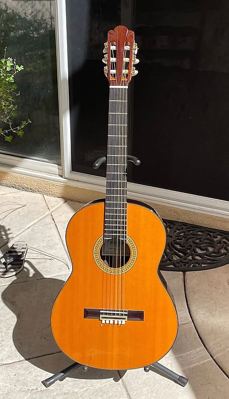 Pavan TP-30-64-L Left-Handed Classical Guitar With Plush Case - 2015 image 1