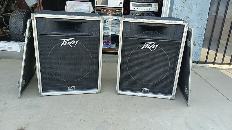 Peavey 2024 115 international