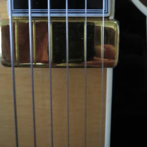 Big Opportunity-  Parker  PJ14 Hollow Body Jazz Guitar - never been owned 2009 Natural image 15