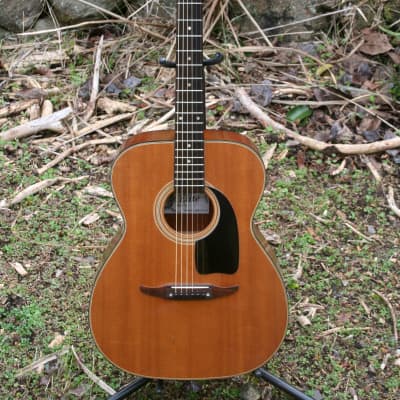 Greco 202 Hummingbird Early 70s | Reverb