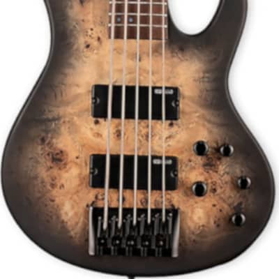 ESP LTD D-5 D Series 5-String Bass Guitar, Black Natural Burst Satin image 2