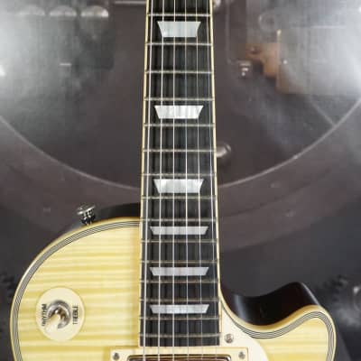 Agile AL-3100MCC - Flame Top Les Paul w/ Hard Case image 3
