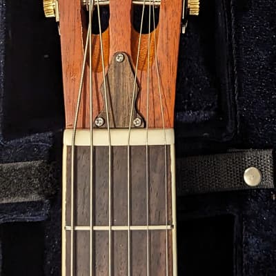 I carus Tri-Cone Resonator Guitar image 5