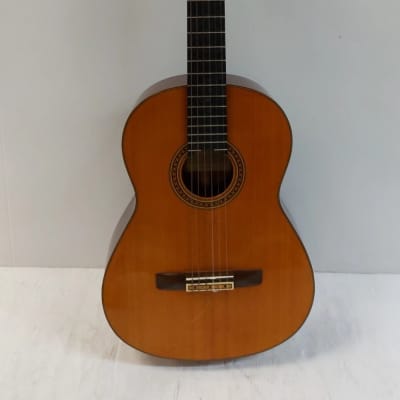 EL DEGAS アコースティックギター Lot 489 - Vintage El Degas 300 Acoustic Guitar | Premier
