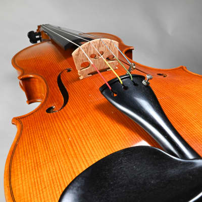 Suzuki Viola No. 5 (Professional/Orchestra), 15.5