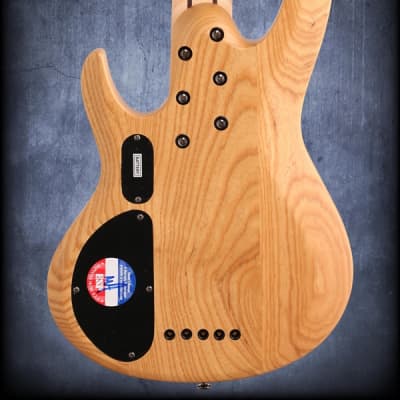 ESP LTD B205SM-FL Fretless 5 String Electric Bass Guitar Natural Satin image 6