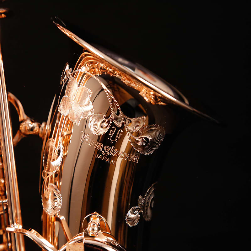 Yanagisawa AWO37PG Profess Eb Alto Saxophone, Sterling