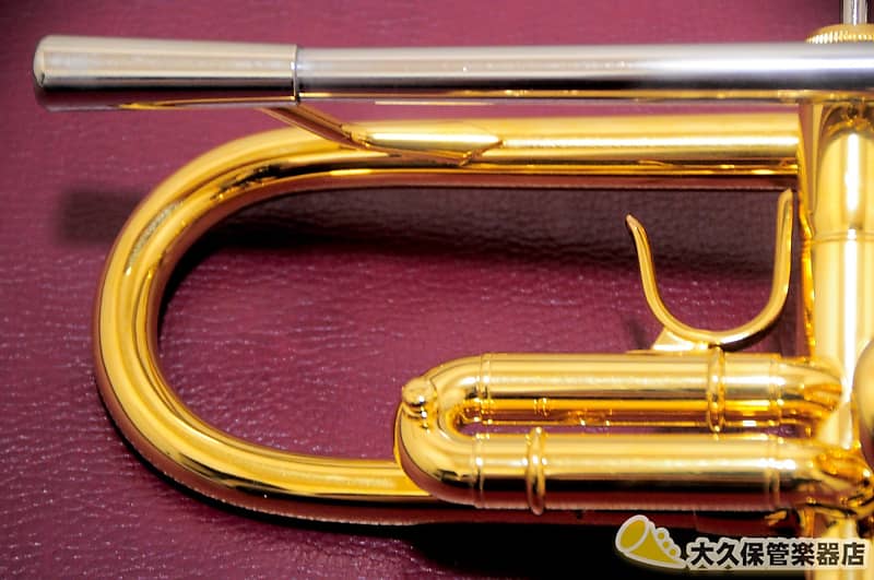 Cadeson TR-2000GP “Shu” w/BUZZ Leadpipe B♭ Trumpet | Reverb