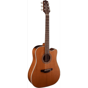 Takamine GD20CE Acoustic Guitar (GD20CE) image 3