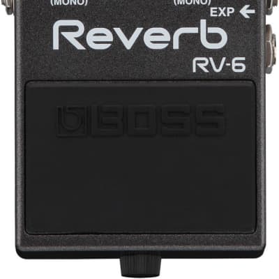 Boss RV-6 Digital Delay/Reverb Guitar Effects Pedal | Reverb