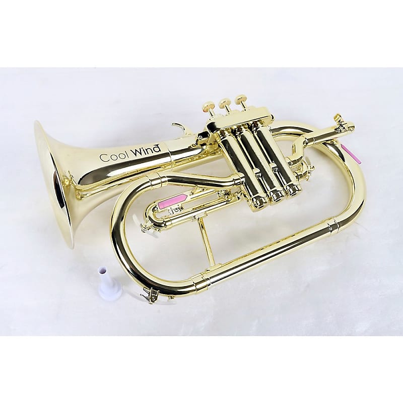 Cool Wind CFG200 Metallic Series Plastic Bb Flugelhorn Reverb