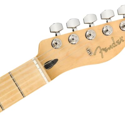 Fender Standard Tele MN BPG BTB – United States