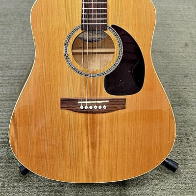 交換無料！ Seagull Maritime Cedar GT Model 29297 w / Hard Shell Case ギター