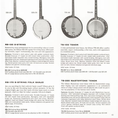 Banjo Gibson TB-100 Plectrum (4-strings) 1960's image 18