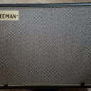 Friedman ASM-10 amplifier powered FRFR guitar monitor
