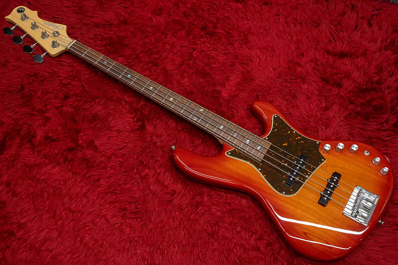 used】Freedom Custom Guitar Research / RHINO-4 Ash/R 2018