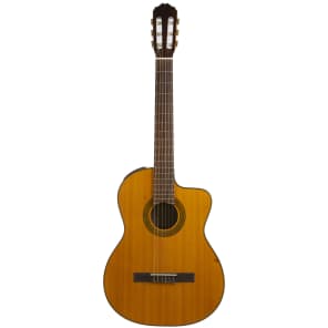 Takamine EG 124 Classical Reverb
