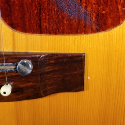 Takeharu WT-300 Folk | Reverb