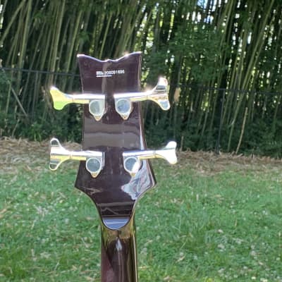 Daisy Rock Stardust Elite Bass Guitar Violet Burst Taylor