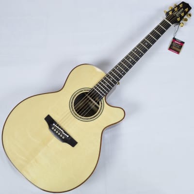 Takamine DMP500CE DC Engelmann Spruce Top Limited Edition Guitar image 1