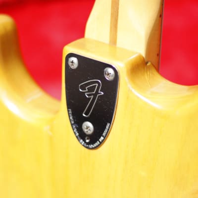 Fender Stratocaster Hardtail 1977 - Natural image 14