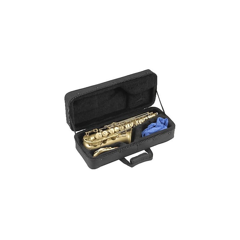 Clarinette de Poche Mini Sax Pocket Saxophone Simple Portable