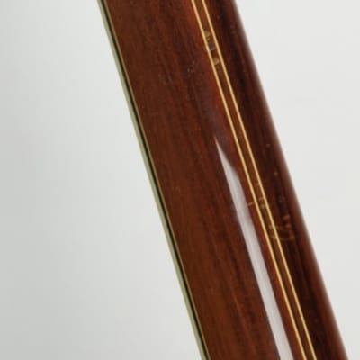 Ome Juggernaut 2  Five String Resonator Banjo 1975  Rosewood image 4